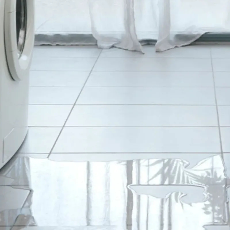 Appliance Leak Cleanup in Connerton, FL